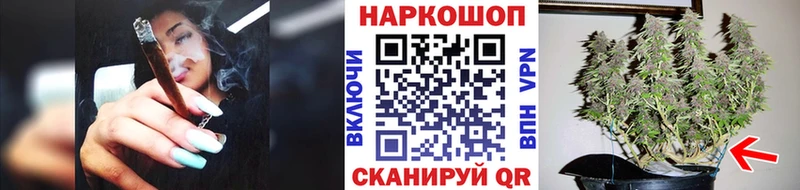 APVP Клинцы