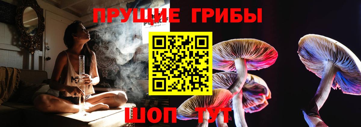 Галлюциногенные грибы прущие грибы  Вход с VPN  закладки  Псилоцибиновые грибы GOLDEN TEACHER  Клинцы 