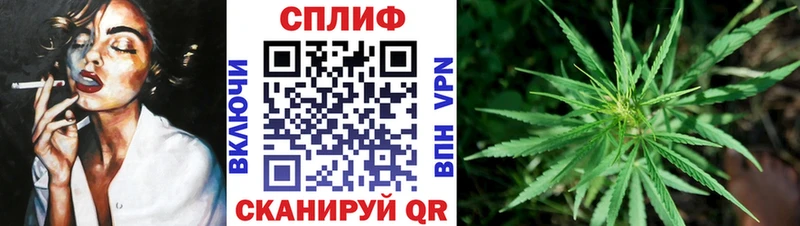 ссылка на мегу   Клинцы  Каннабис SATIVA & INDICA 